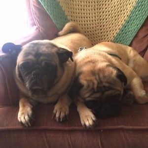 Meet your Posher, Lynne